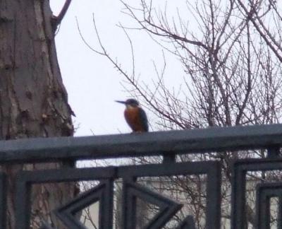 Прикрепленное изображение: 14.jpg